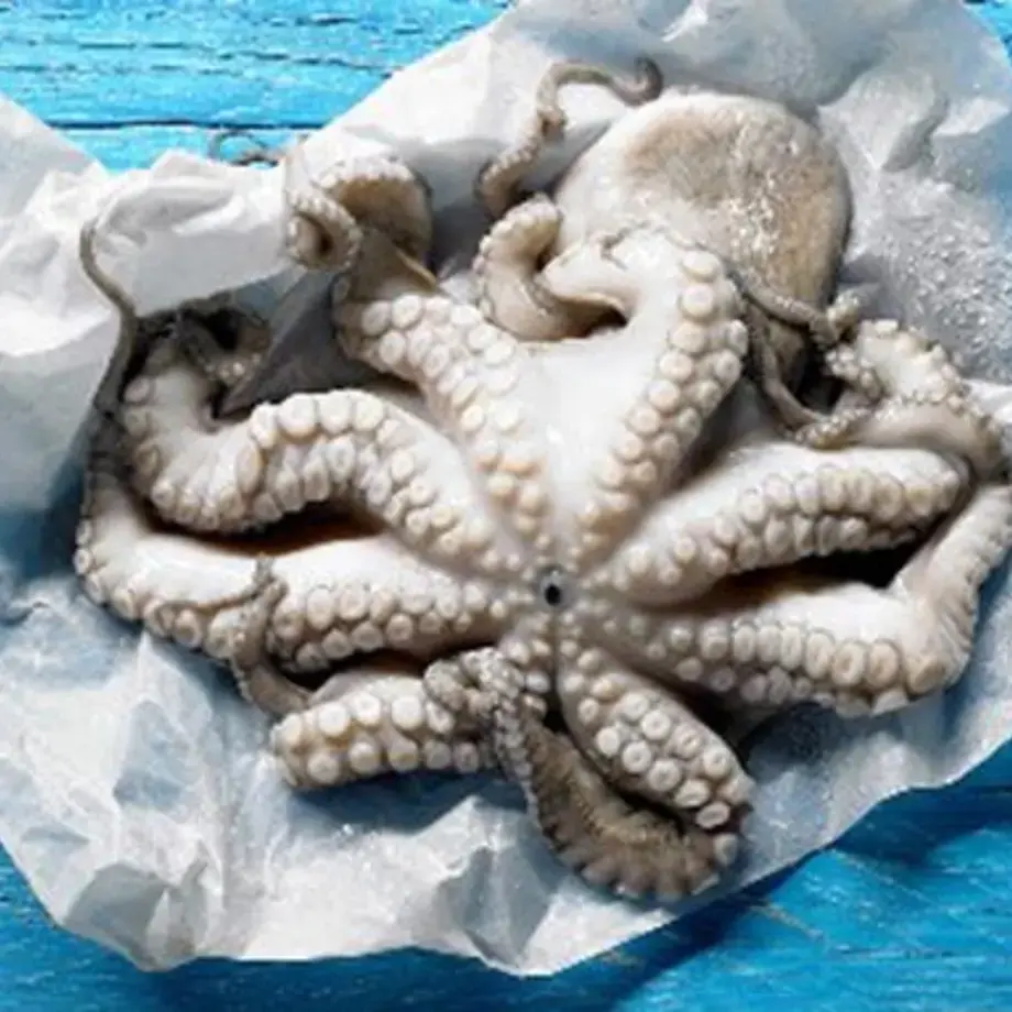 How to Clean and Cook Octopus