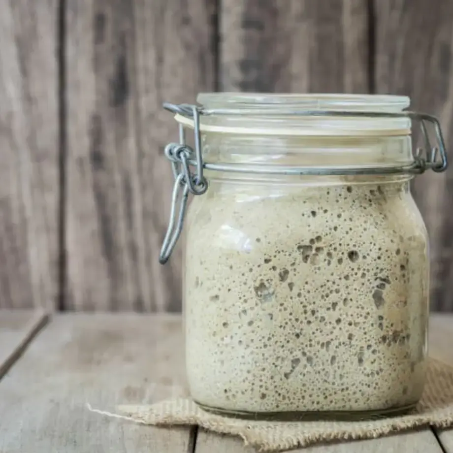 Sourdough Mother Dough