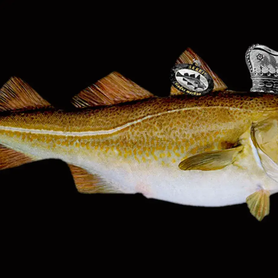 Original_11996_skrei-finedininglovers-tp