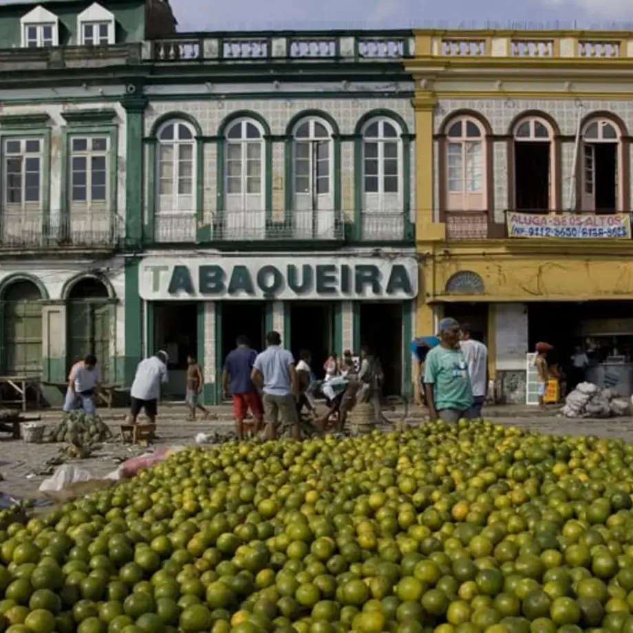 Original_12940_Brazilian-fruits-TP