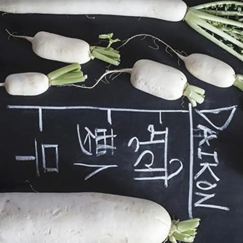 How to cook Daikon Radish: tips for preparing this Asian vegetable