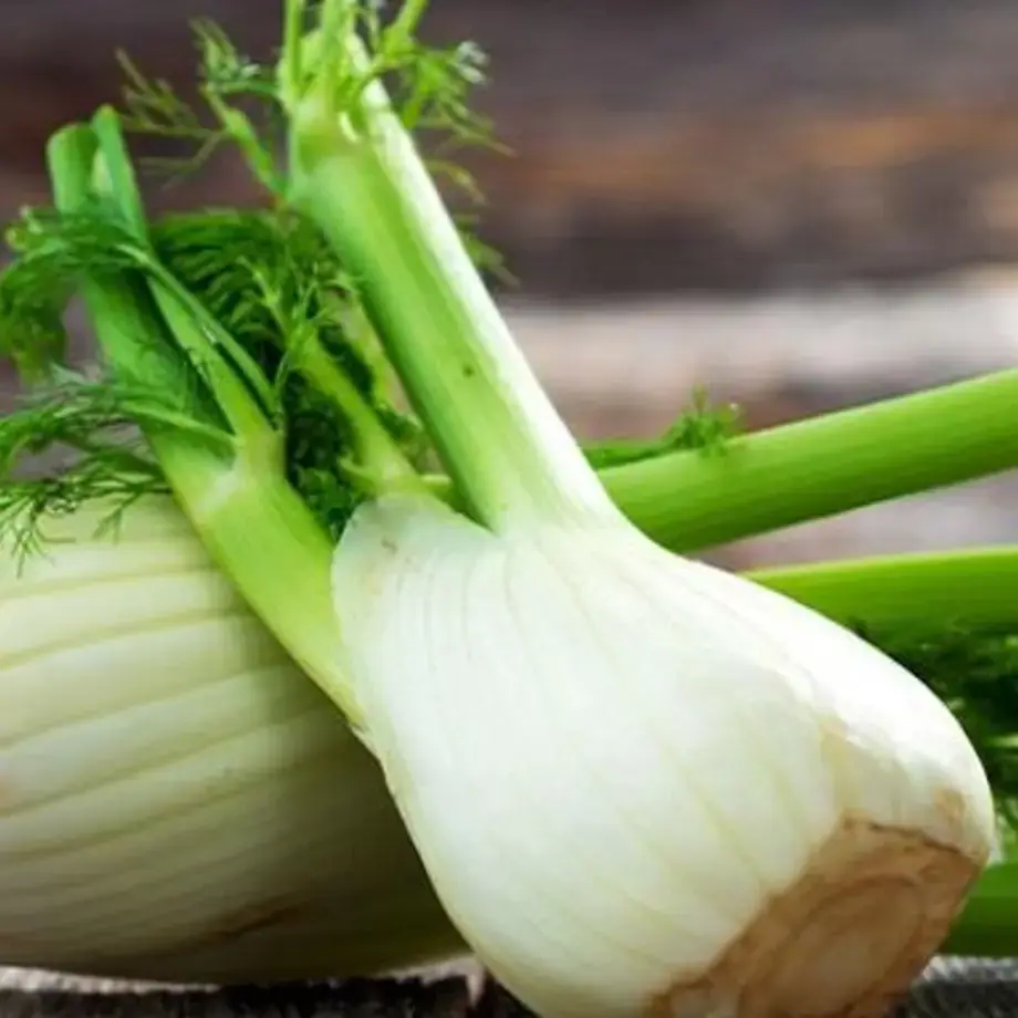How to Use Fennel: A Beginner's Guide
