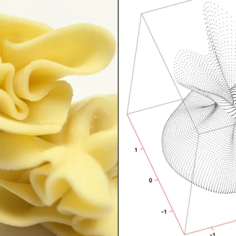 Original_1500_pasta-design-393-TP