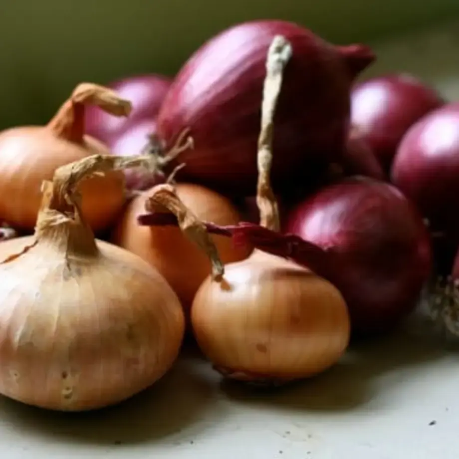9 Ways to Cook an Onion