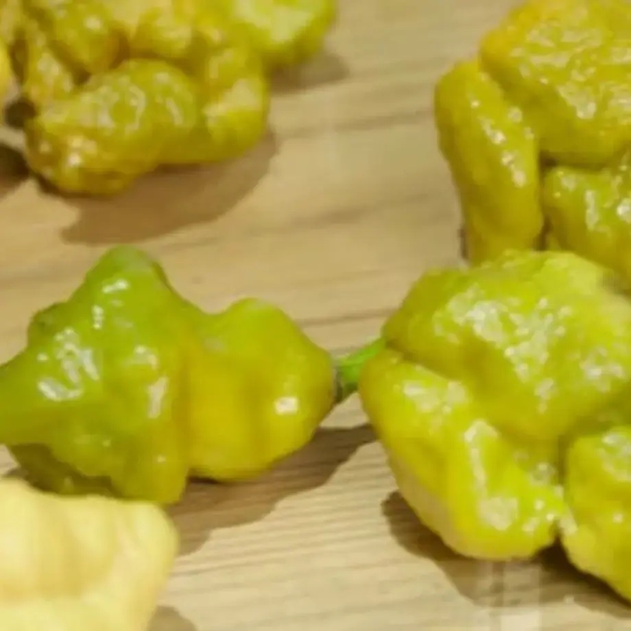 'Pepper X' is the New World’s Hottest Pepper