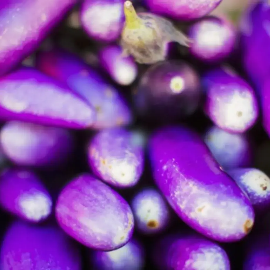 How Do I Cook Japanese Eggplant? Try These Tasty Recipes