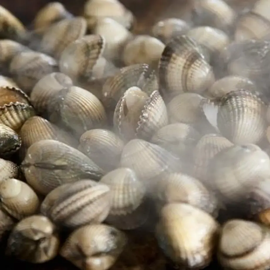 How to Eat Clams: All the Tips and Recipes you Need for Fresh Clams