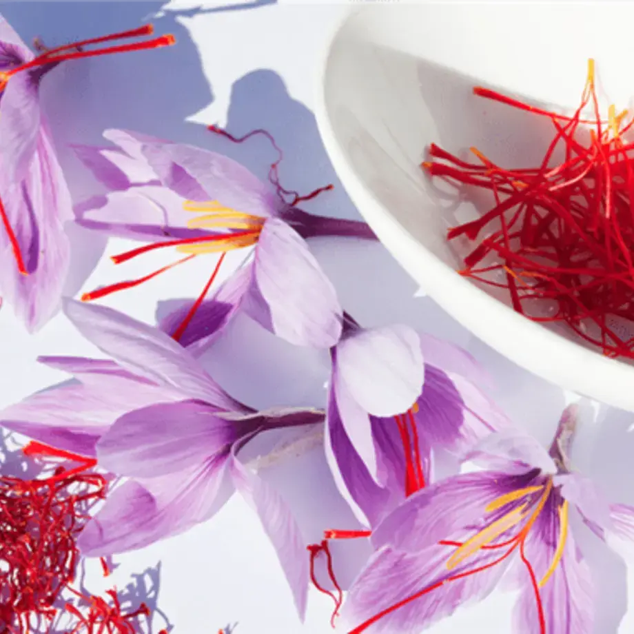 These Are The World's Most Expensive Spices