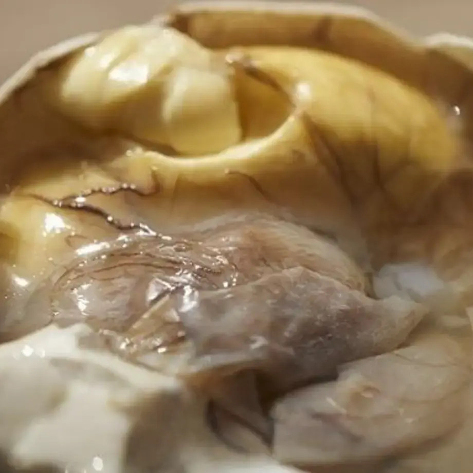 Have You Heard of Balut? Get to Know This Asian Specialty