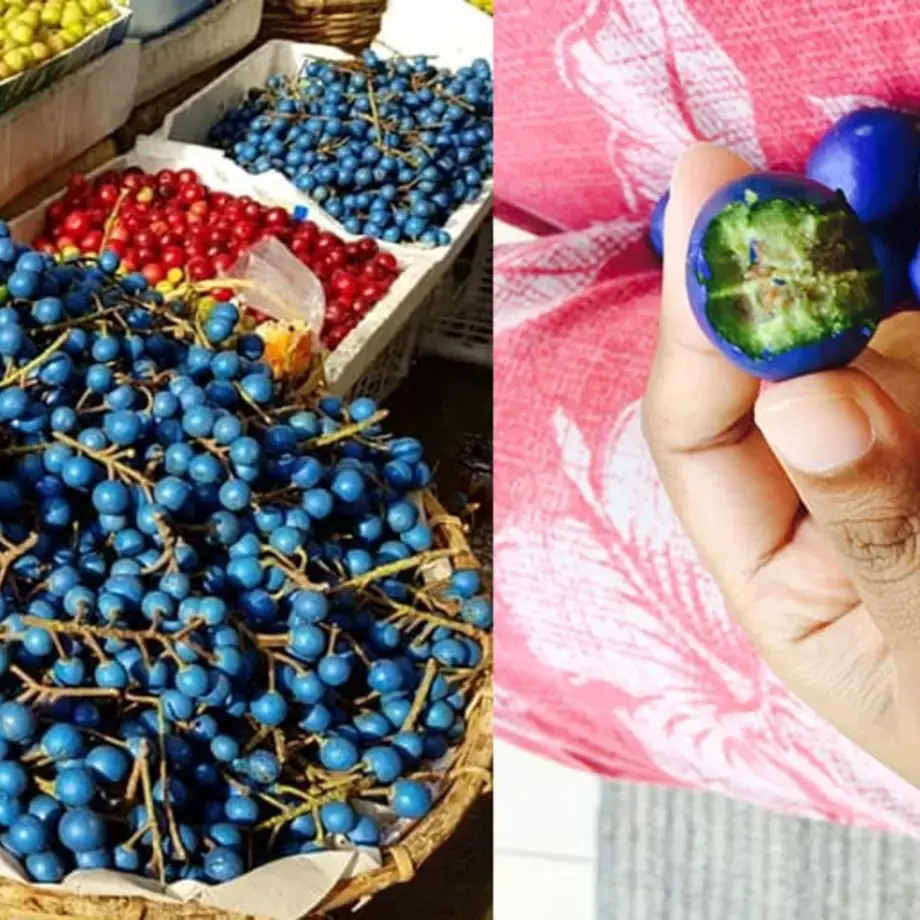 Blue Olives, Sri Lanka's Street Food Olive