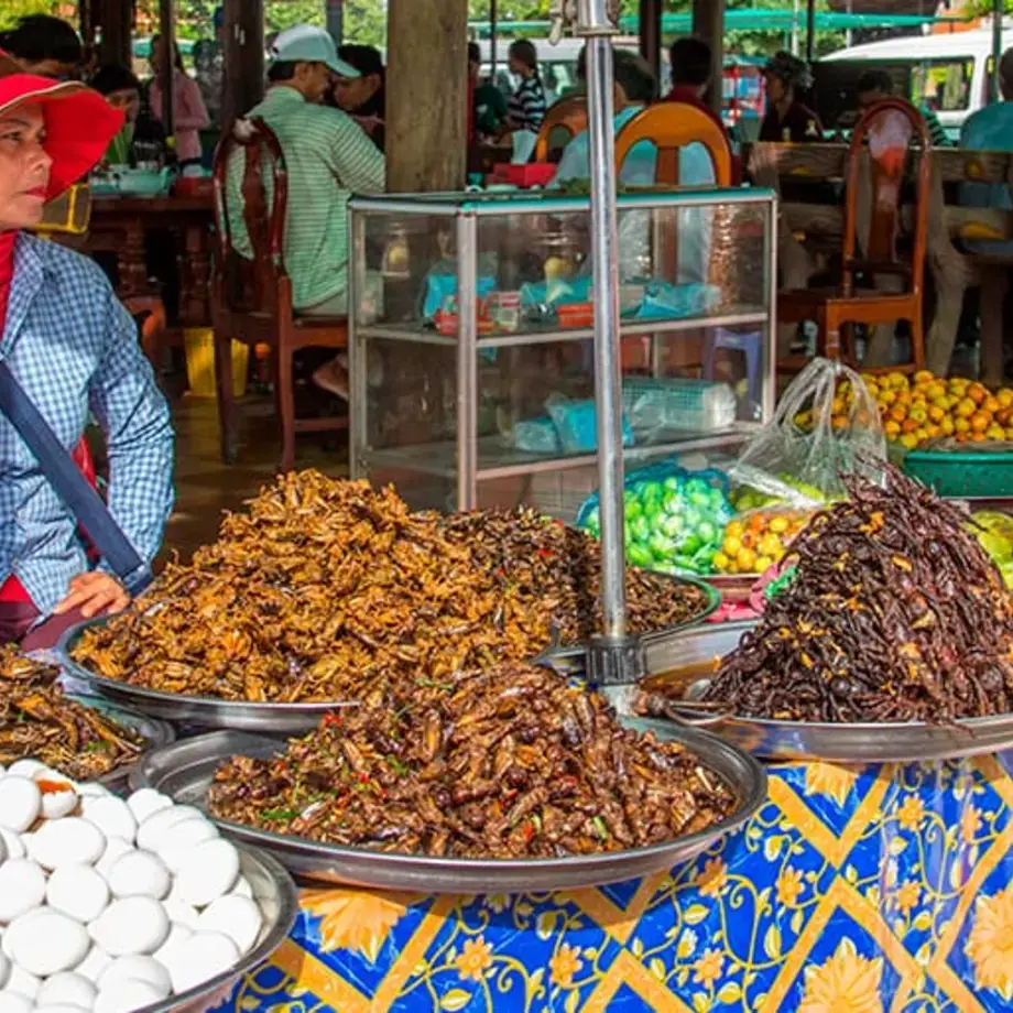 Insects everywhere! Cambodia’s Expansive Creepy-Crawly Menu
