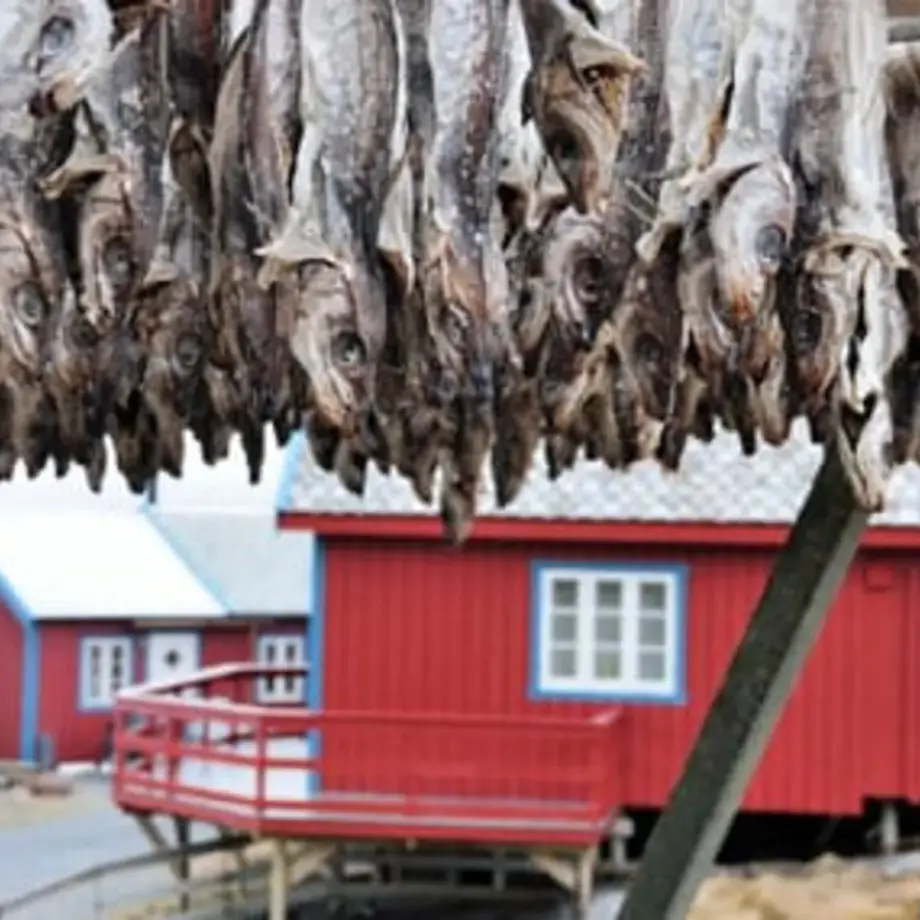 Cod, Salt Cod or Stockfish: What's the Difference?