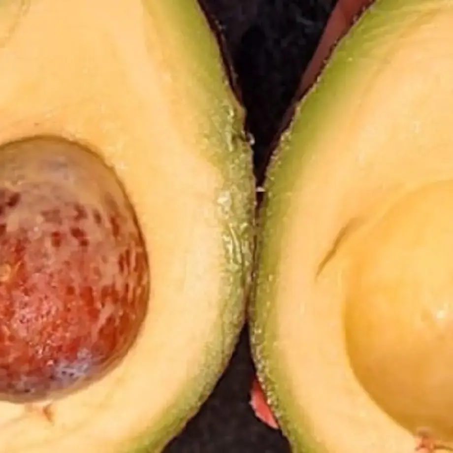 How To Pick A Perfectly Ripe Avocado
