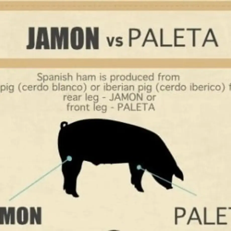 Jamon vs Paleta Infographic
