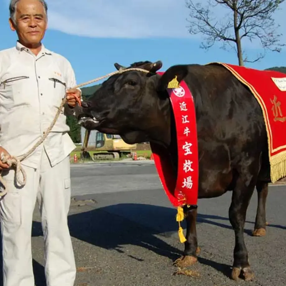 Original_624_FDL-164-TP