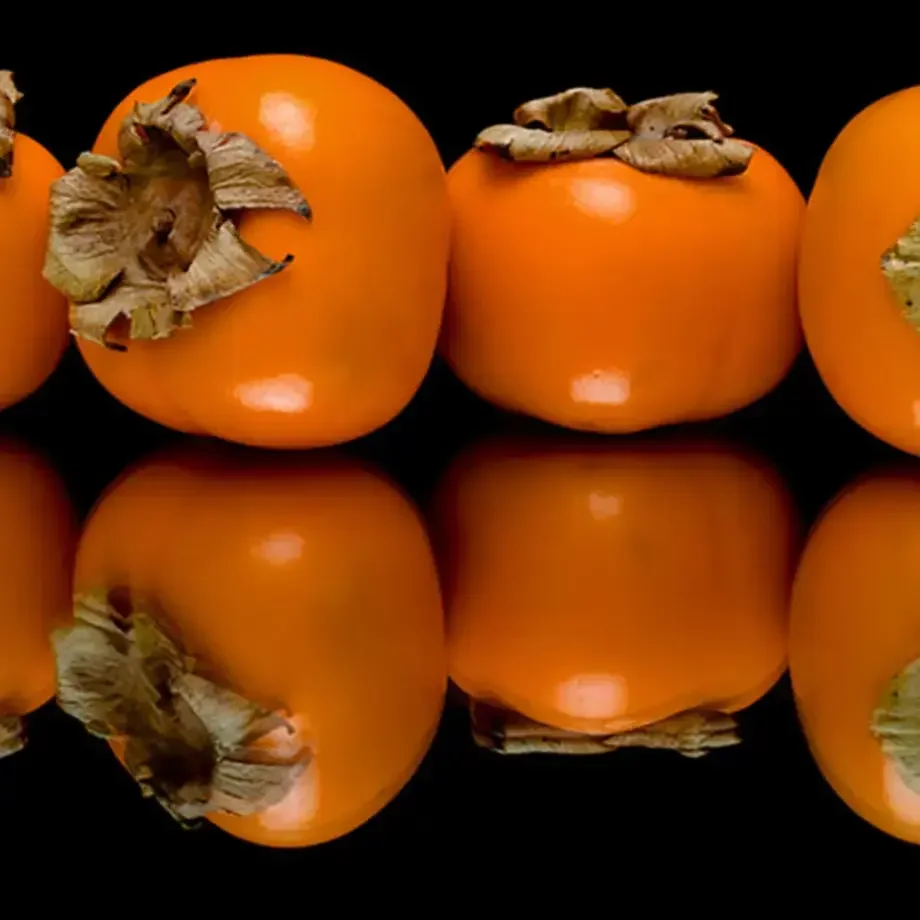 Original_6776_TP-persimmon-finedininglovers