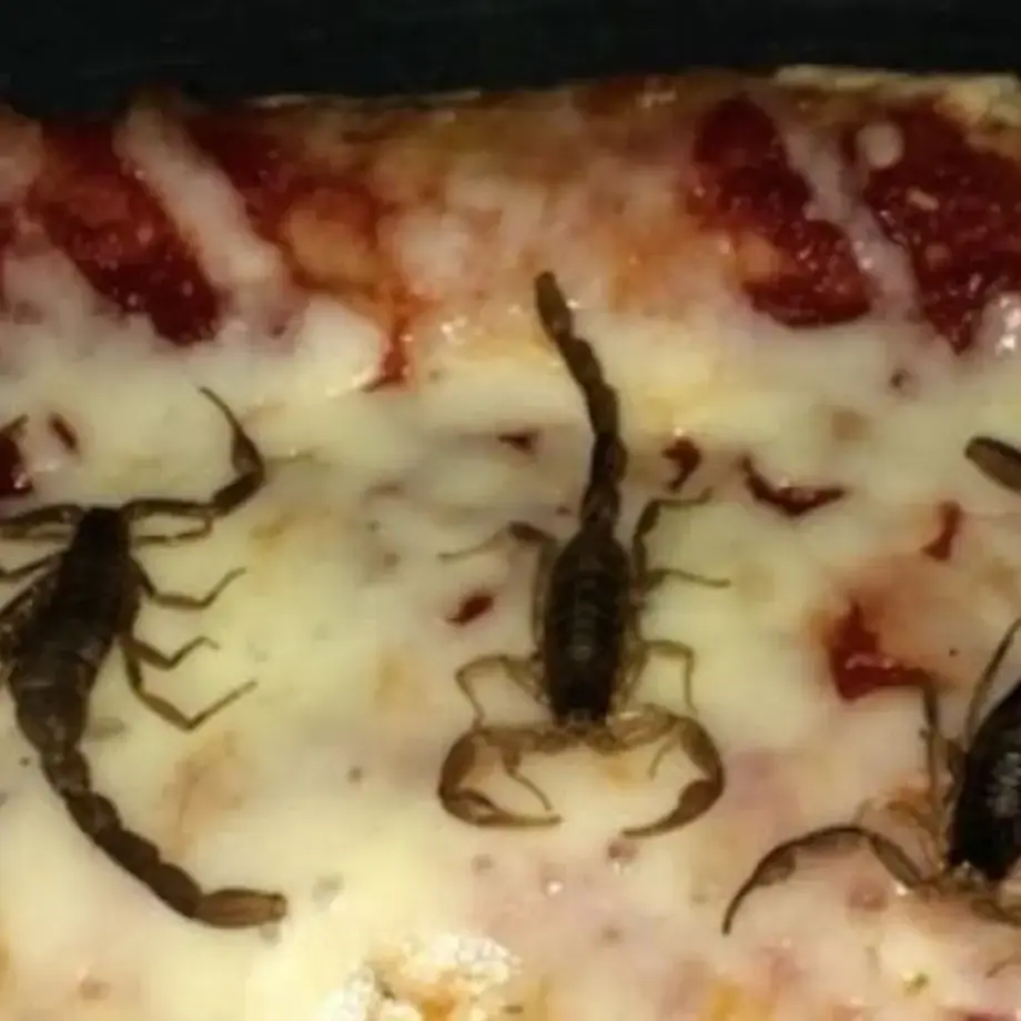 Hungry? How About Some Scorpion Pizza?