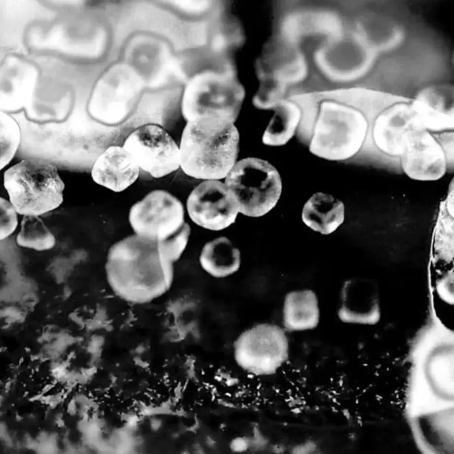 Original_9075_salting-finedininglovers-TP