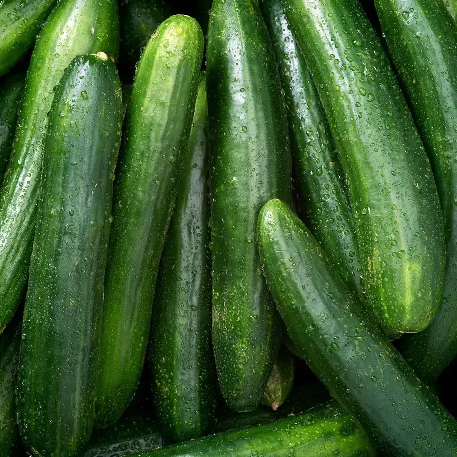overhead view of a pile of fresh English cucumbers