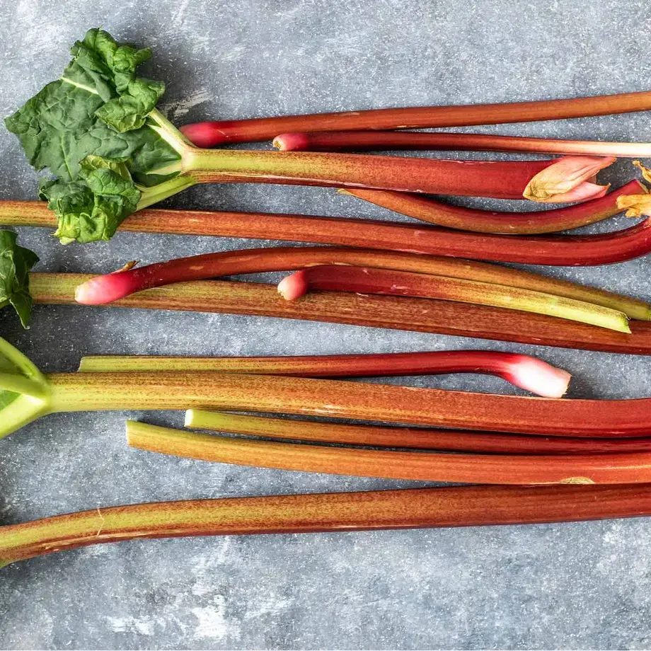 Best rhubarb recipes