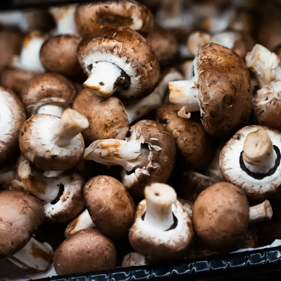 baby-bella-mushrooms