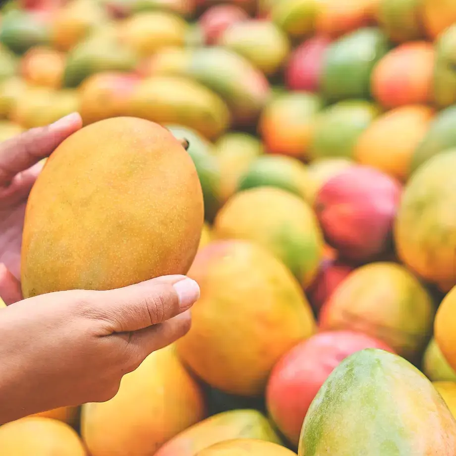 best-mango-varieties