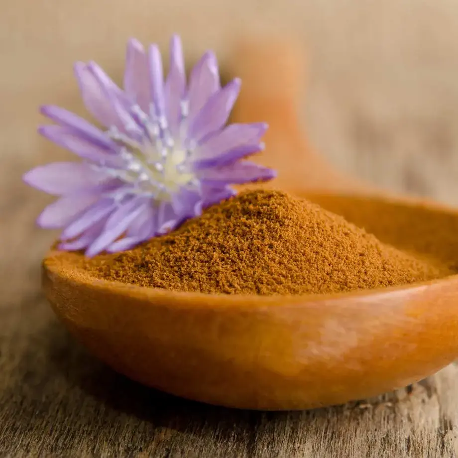 chicory coffee powder ©iStock