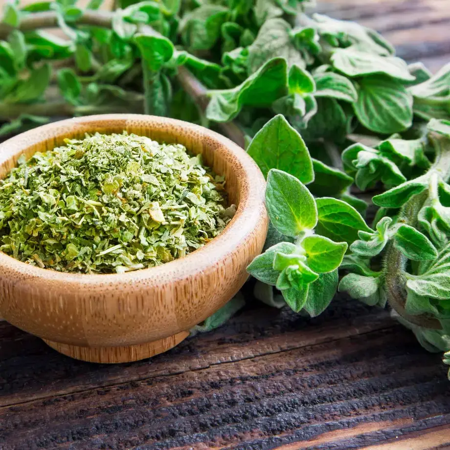 fresh-vs-dried-herbs