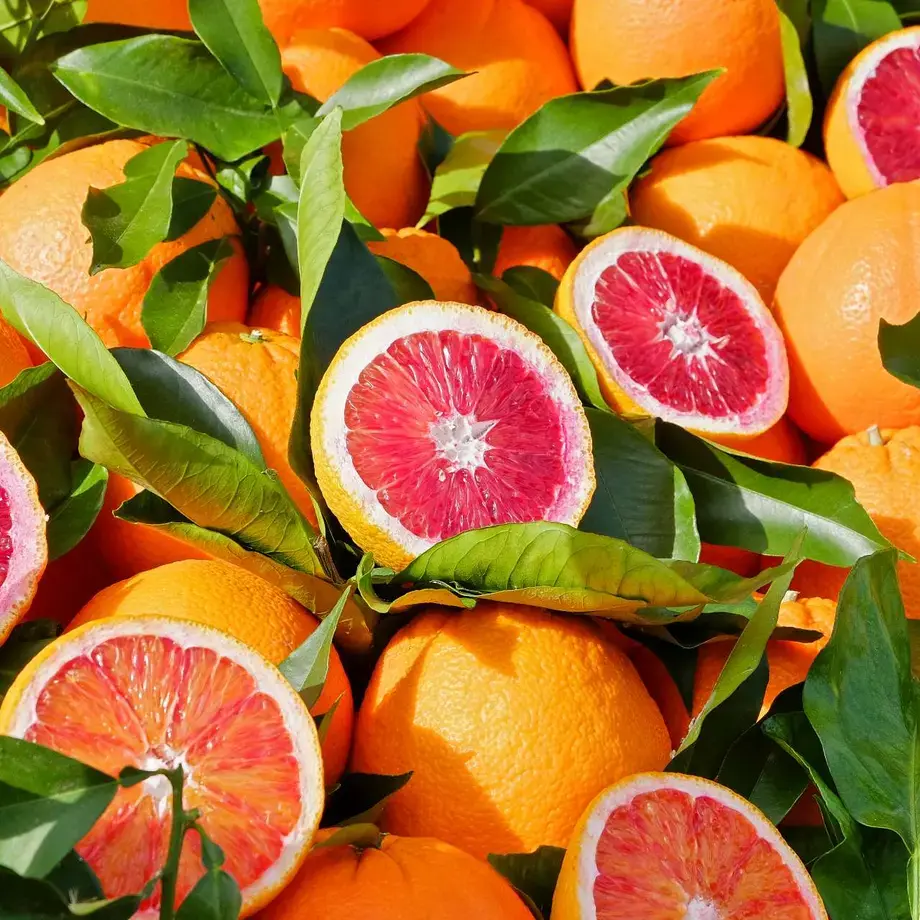 orange-varieties