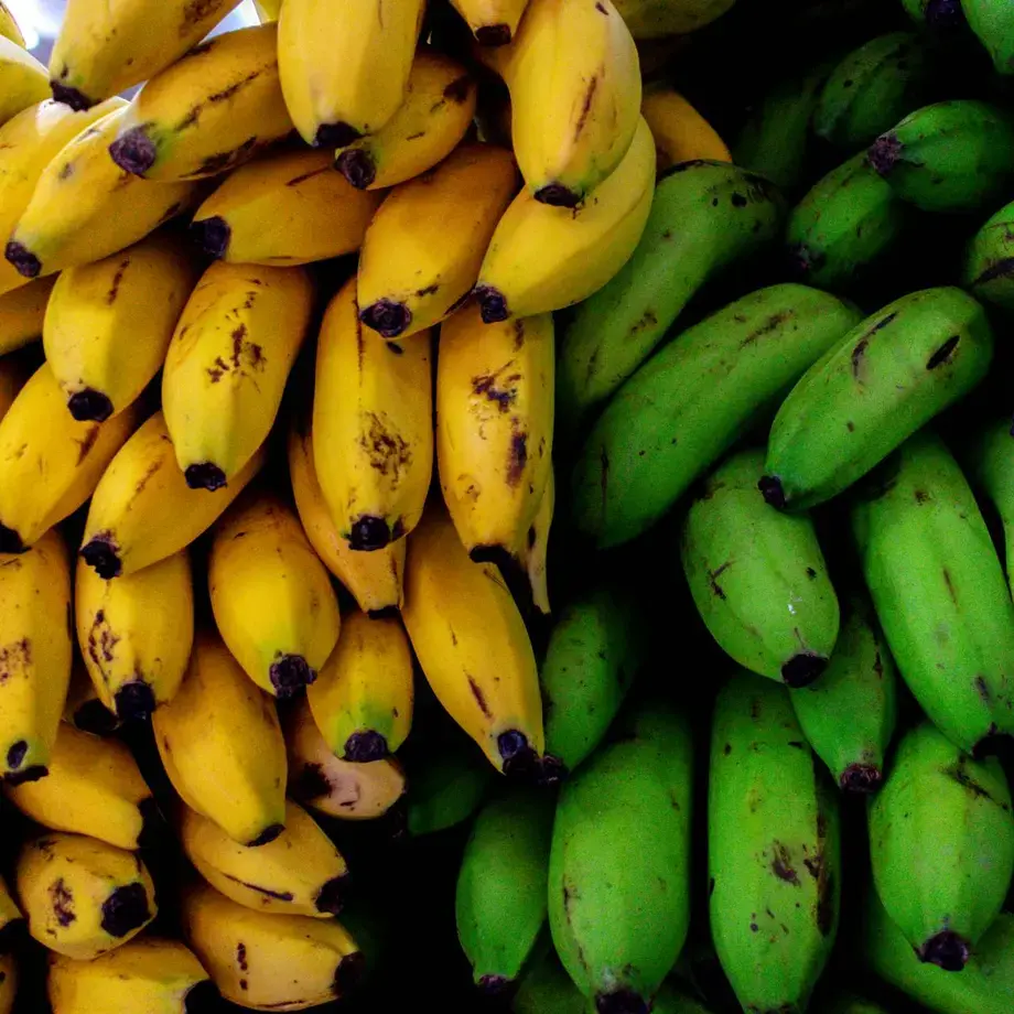 plantain-vs-banana