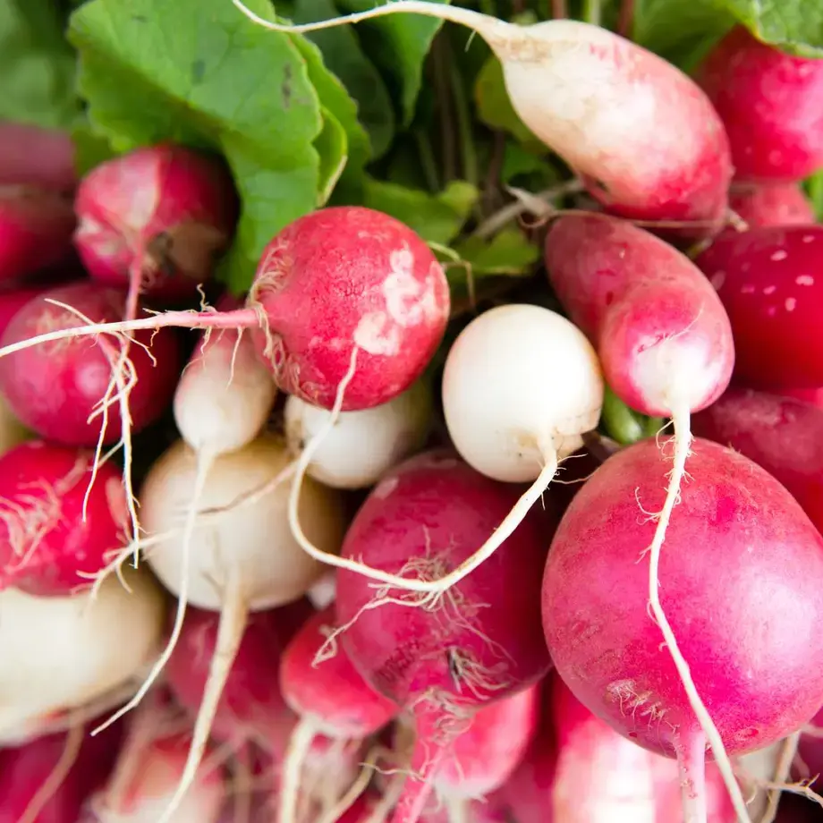 radishes ©iStock