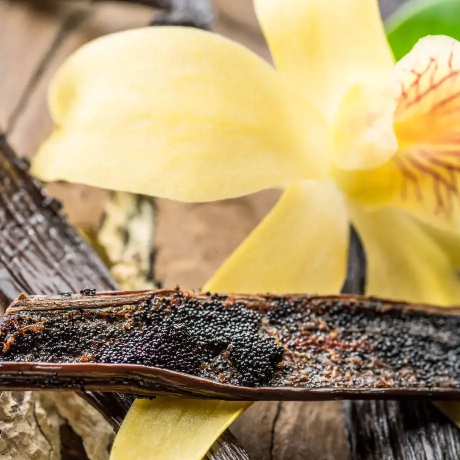 vanilla bean ©iStock