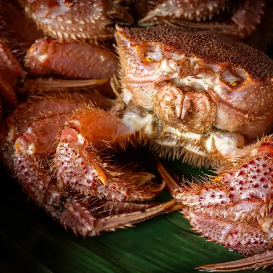 Ginza Sushi Ichi BKK