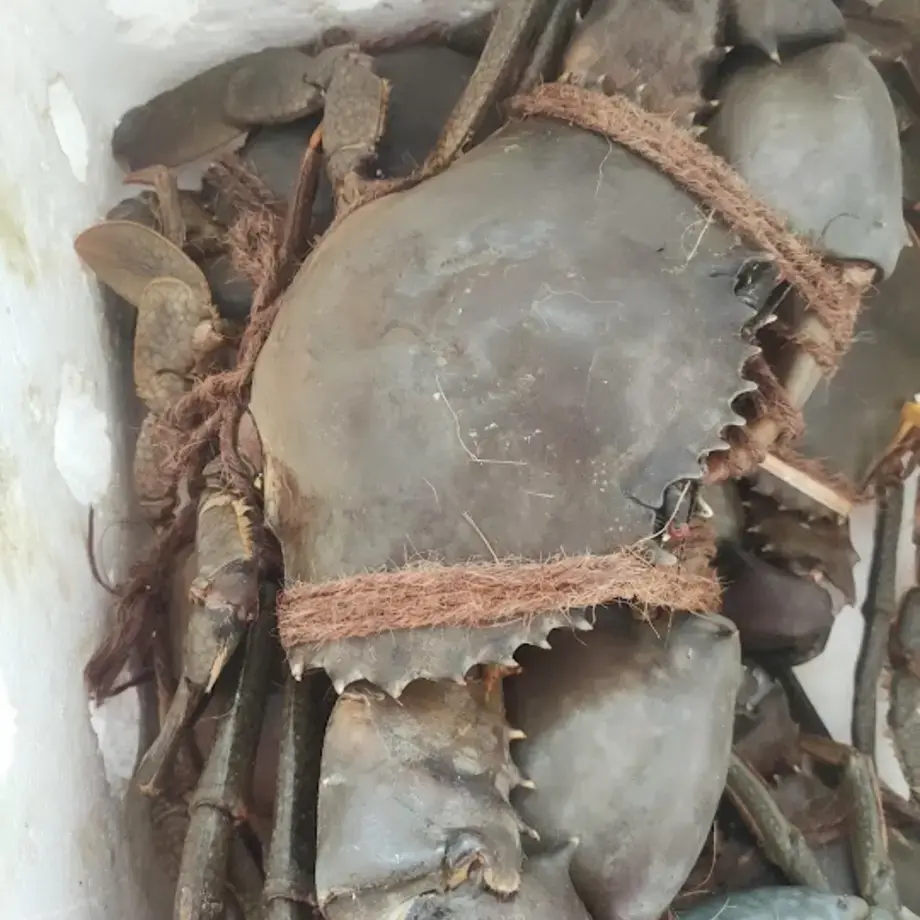 Sin Huat Eating House (新蕟餐廰)