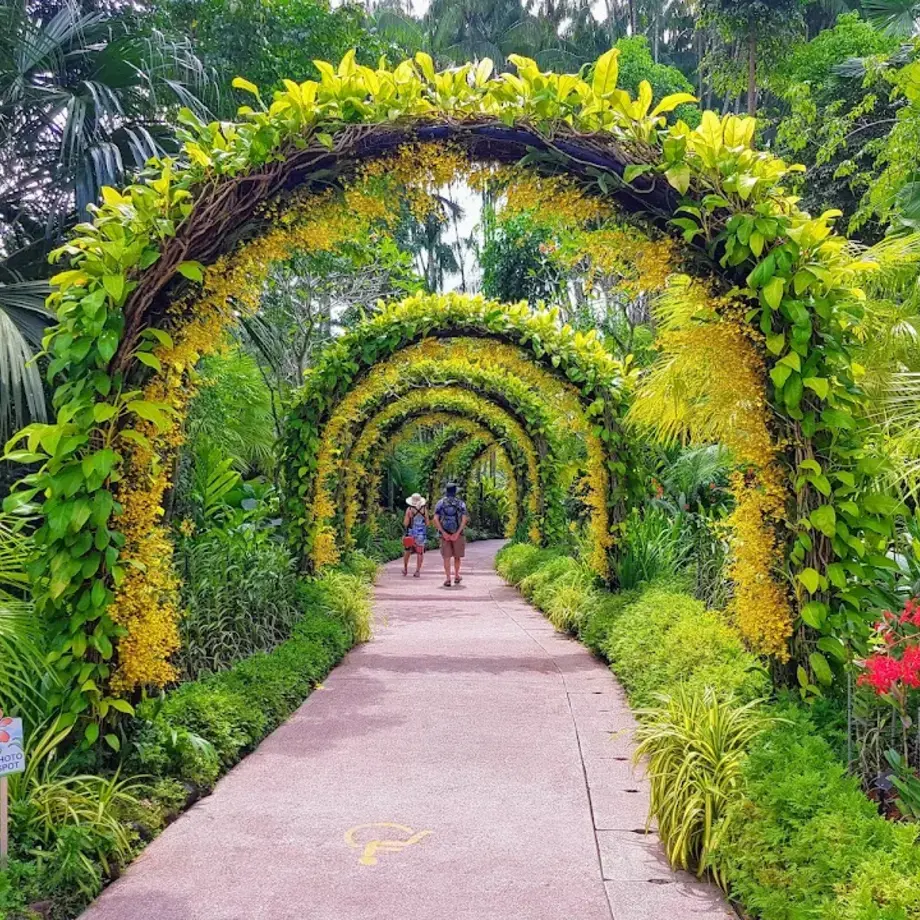 Singapore Botanic Gardens