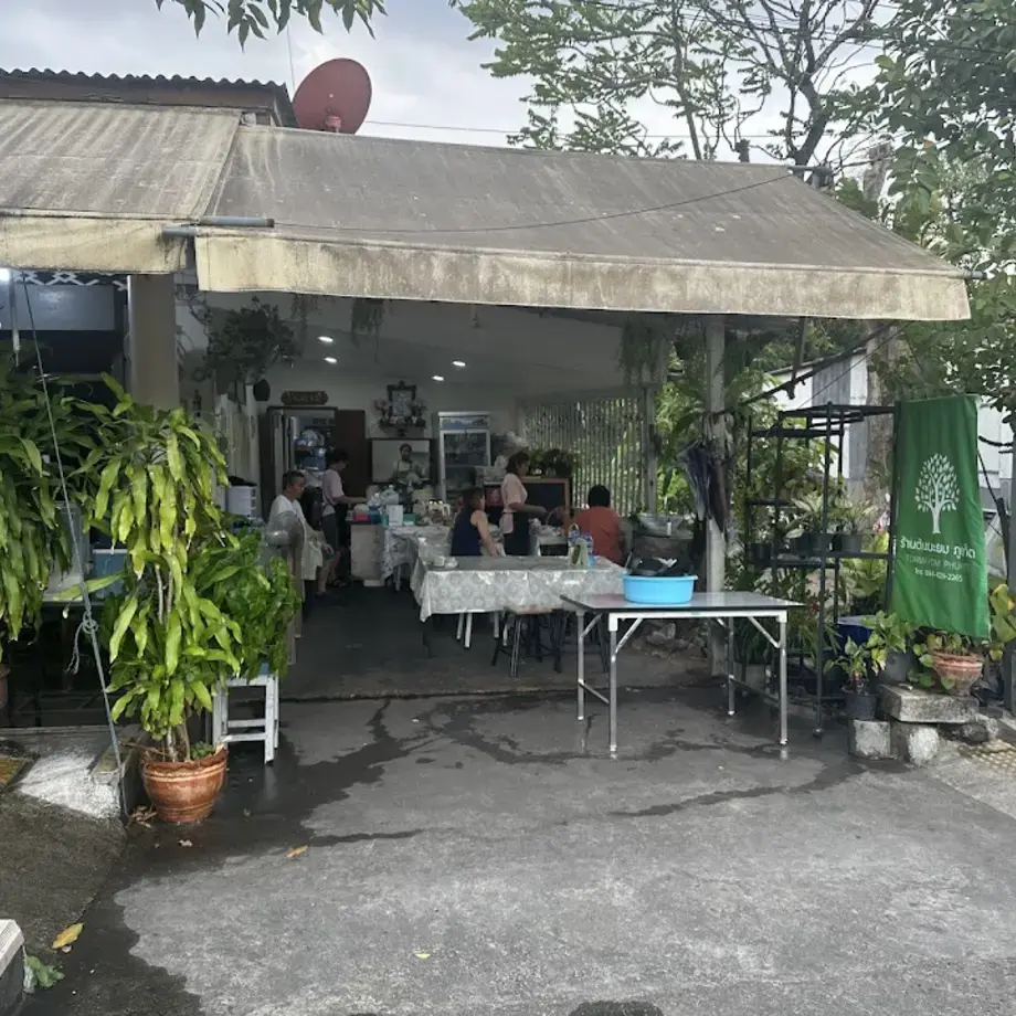 Ton Mayom ต้นมะยม