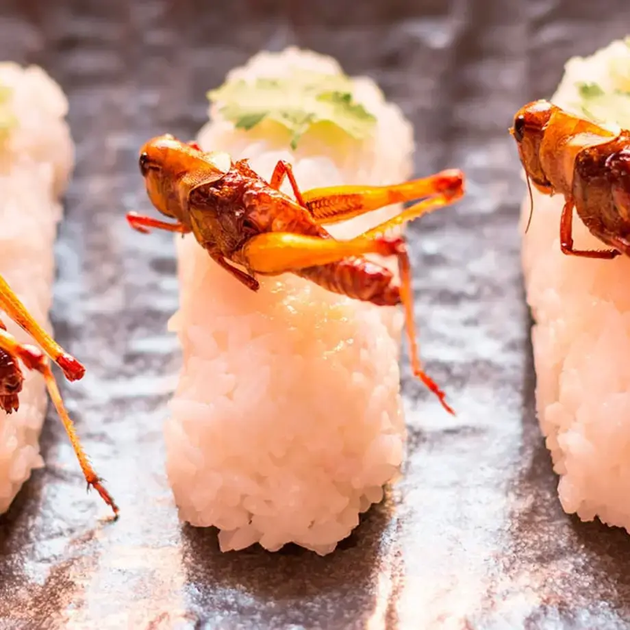 Edible locusts on rice