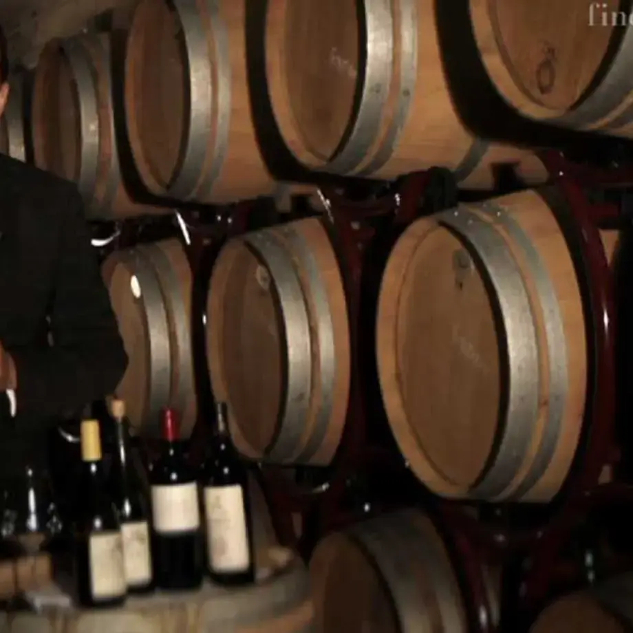Larsson's Wine Tips: Wines that Taste More Expensive than They Are