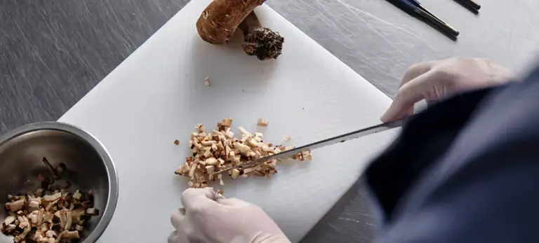 Venison recipe_mushroom filling