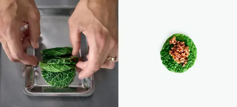 Venison recipe cabbage filling