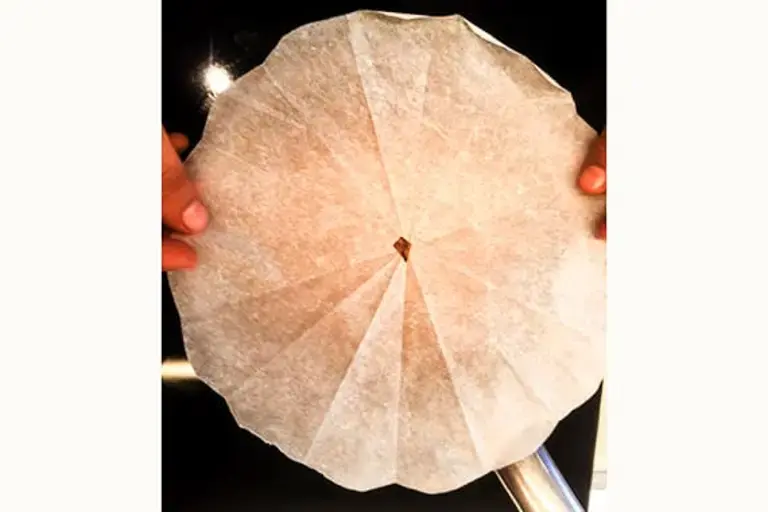 cover the wheat with paper