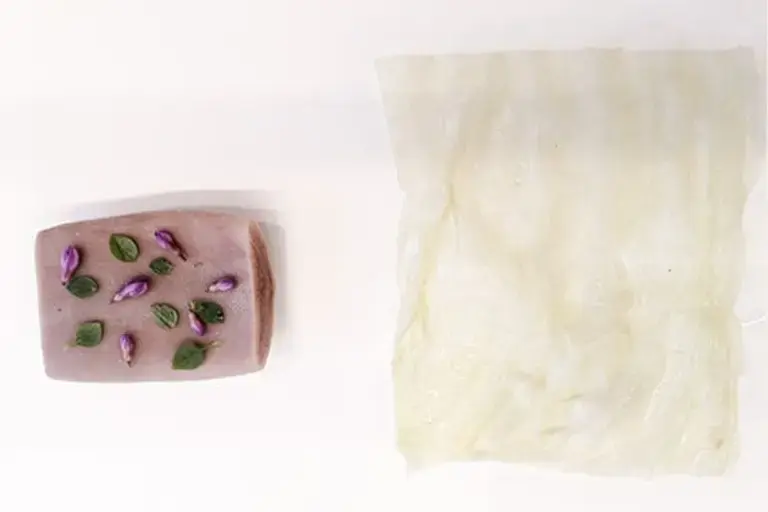 Cabbage leaf and tongue