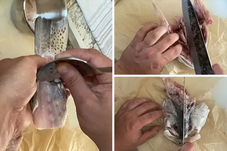 Trim the fillet Courtesy of Chef Jeremy Stephens