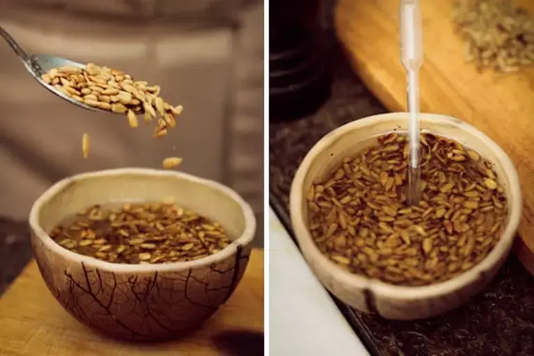 Fring the seeds Courtesy of Chef Vitalii Savelev