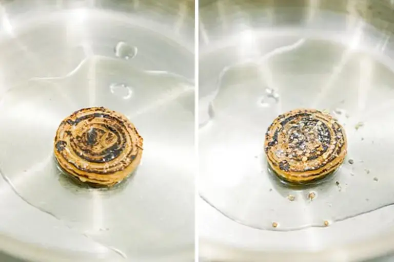 Fermented caramelized onion