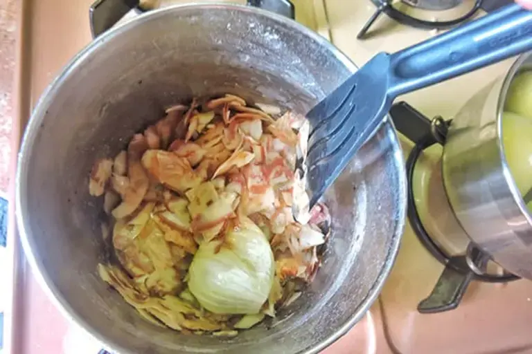 broth with potatoes skin Andrea Ravasio