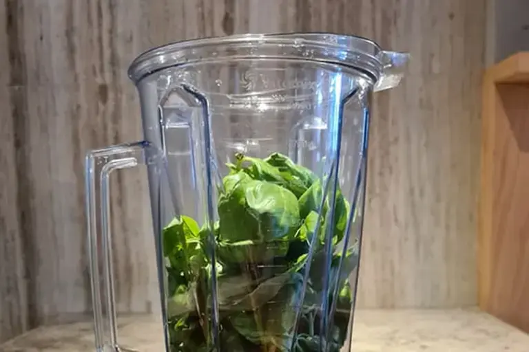 herbs in blender