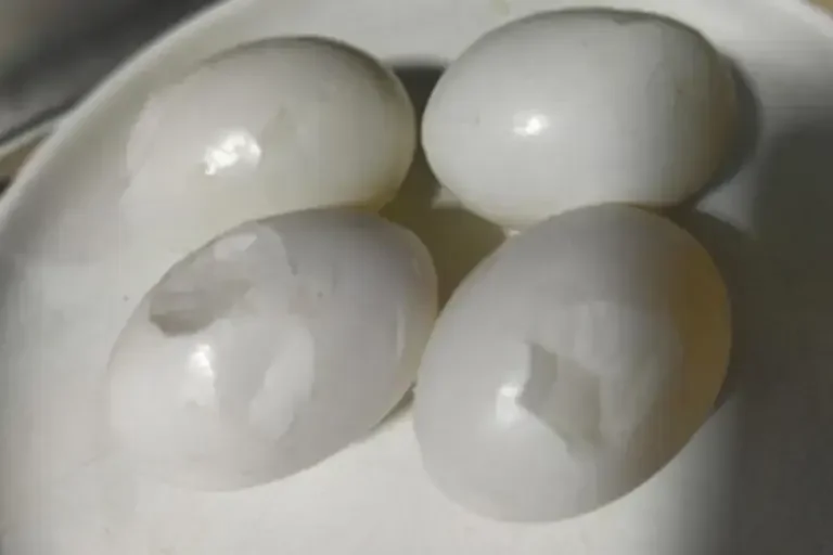 pigeon eggs for ten years soup