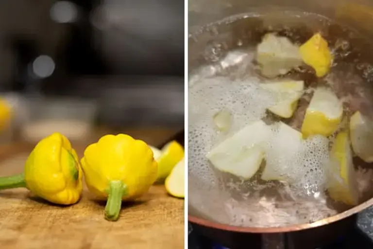 baby squashes Courtesy of Sarah Farmer 