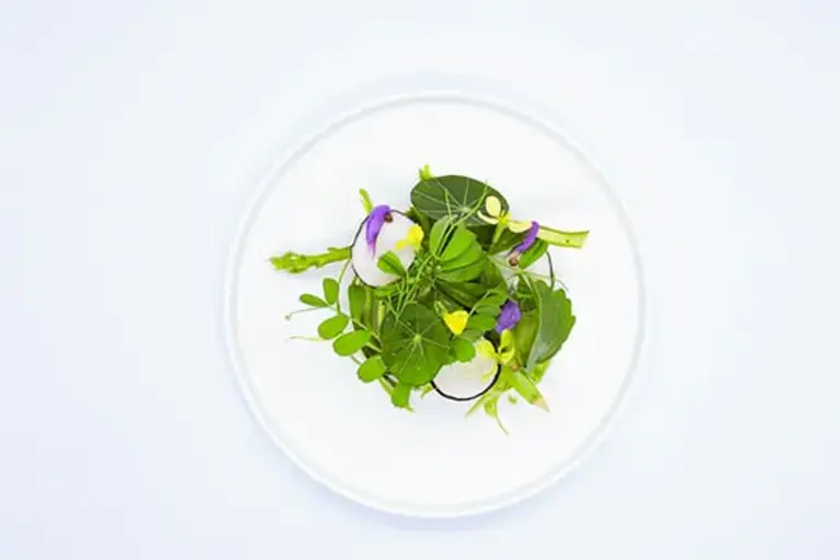 Plate 2 by Callan Austin